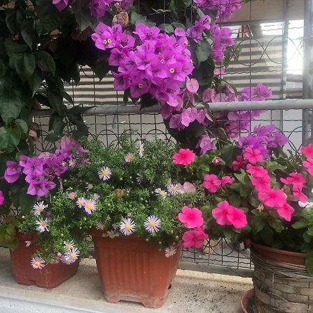 Apartmani Josipa Šibenik Esterno foto