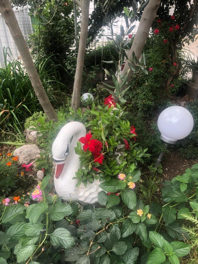 Apartmani Josipa Šibenik Esterno foto