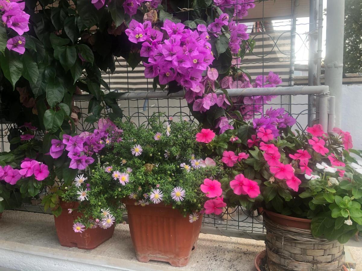 Apartmani Josipa Šibenik Esterno foto